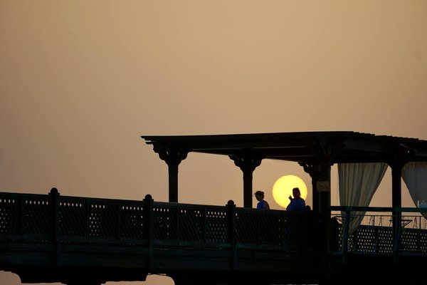 Vivez une Expérience Inoubliable en Famille dans une Cabane Suspendue au Cœur des Arbres !