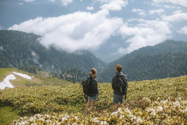 Évasion romantique : Vivez une lune de miel magique dans une cabane suspendue au cœur de la nature.